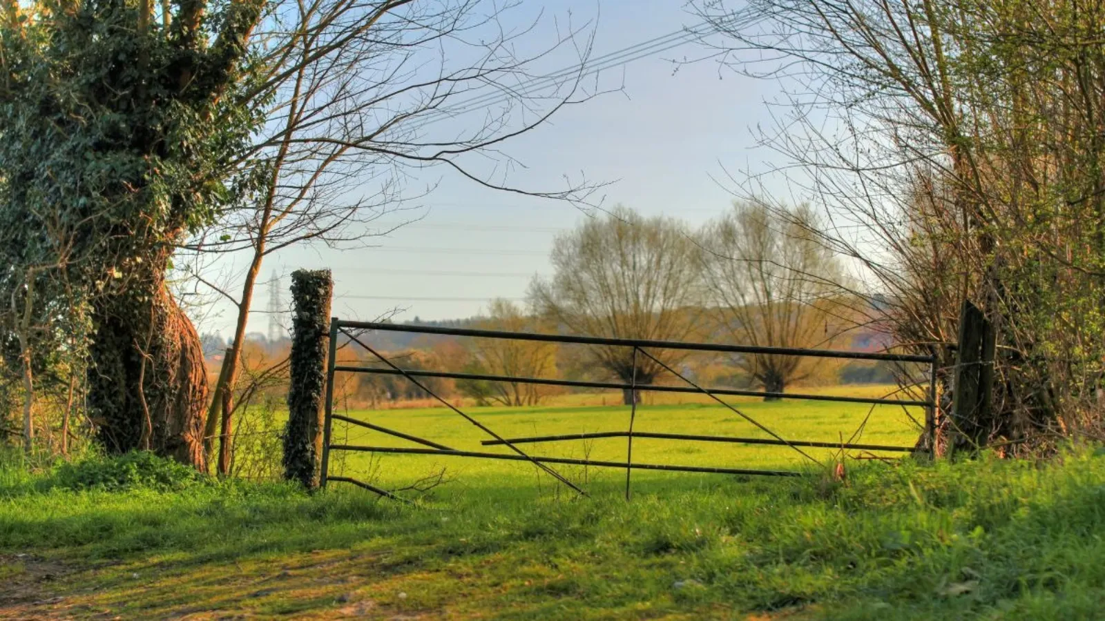 A closed metal farm gate between hedgerows, with a sunlit field beyond it.